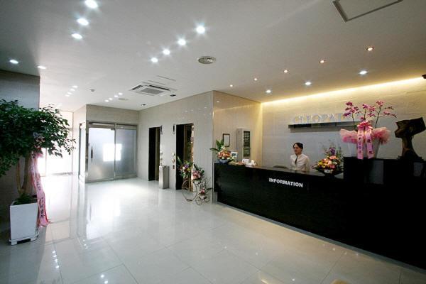 Hotel Cleopatra Ilsan Goyang Bagian luar foto